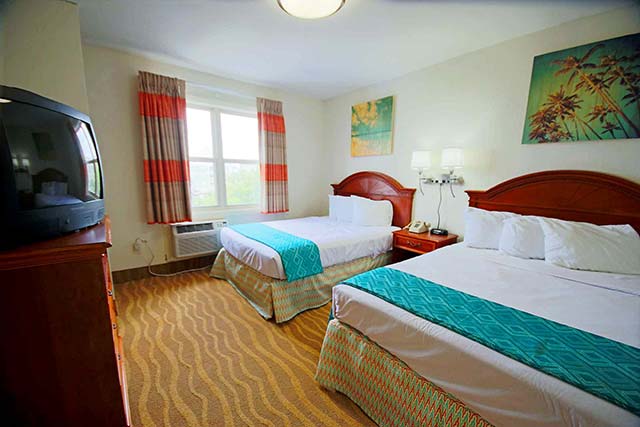 Recently renovated rooms blend warm tones and cool accents to invoke a pleasing atmosphere