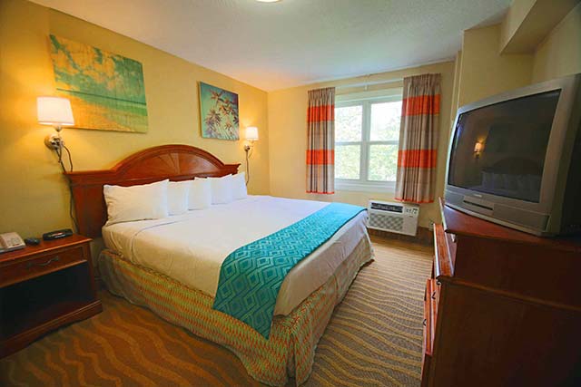 A room fit for a king (bed), this accommodation offers the coziests of clouds to sleep on after a long day at the beach