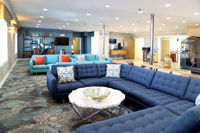 Freshly renovated lobby!